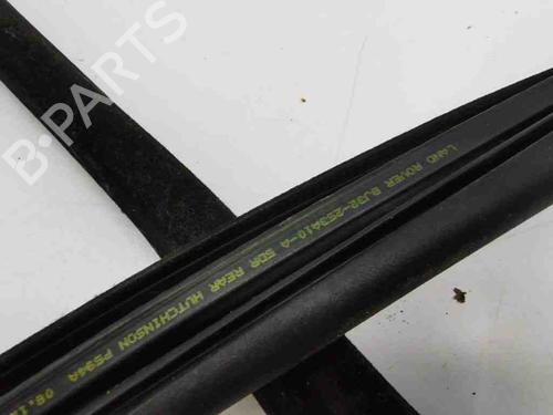 Rubber door seal LAND ROVER RANGE ROVER EVOQUE (L538) 2.2 D 4x4 | BP28898634C142 