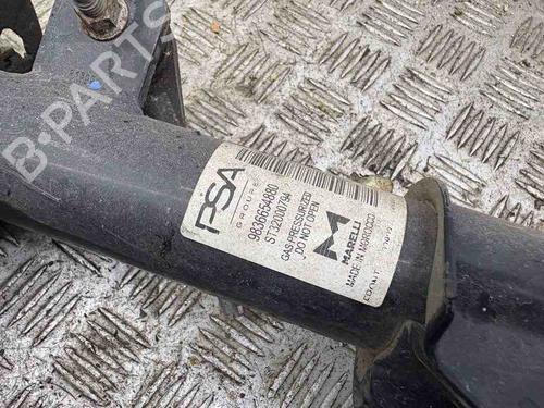 Right front shock absorber PEUGEOT 2008 II (UD_, US_, UY_, UJ_, UR_, UC_) 1.2 PureTech 130 (USHNS, URHNS) | BP29230982M17 