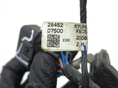 Wiring harness HYUNDAI i30 (PDE, PD, PDEN) 1.0 T-GDI | BP33865215E16 - Image 8