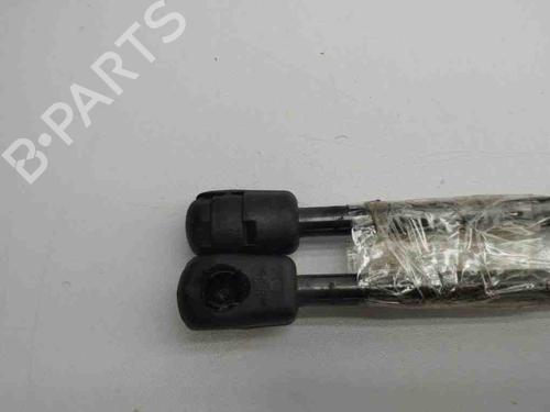 Tailgate lift support FORD FIESTA VII (HJ, HF) 1.0 EcoBoost | BP28899878C138