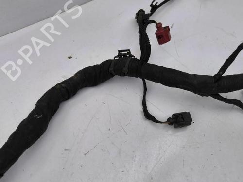 Wiring harness VW ARTEON (3H7, 3H8) 2.0 TDI 4motion | BP28901125E16 