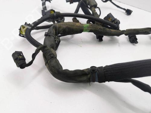 Wiring harness MERCEDES-BENZ B-CLASS Sports Tourer (W245) B 200 TURBO (245.234) | BP28904087E16 