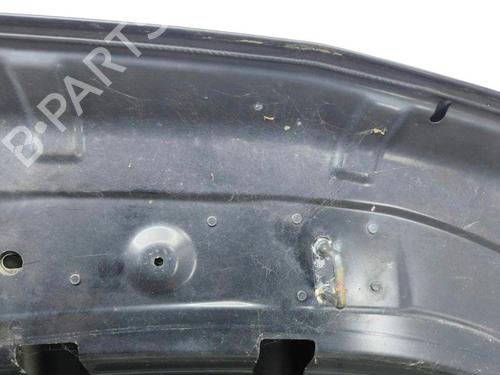 Hood LAND ROVER RANGE ROVER SPORT I (L320) 2.7 D 4x4 | BP28894724C1
