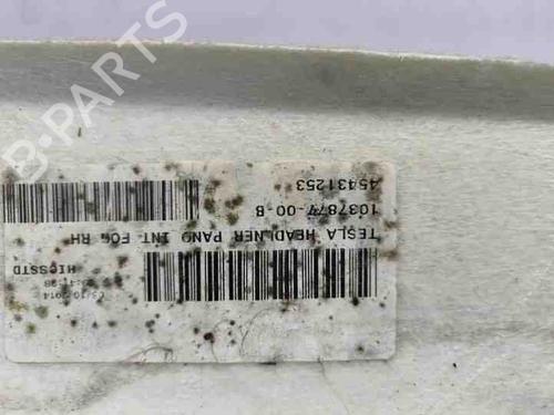 Interior roof TESLA MODEL S (5YJS) 60 | BP28862817I12
