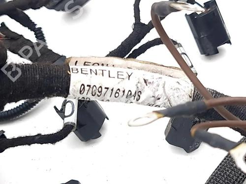 Wiring harness BENTLEY FLYING SPUR (4W_) 6.0 W12 | BP36203217E16  - Image 14