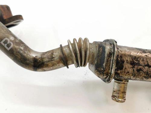 Egr NISSAN X-TRAIL I (T30) 2.2 dCi 4x4 | BP28903128M69 