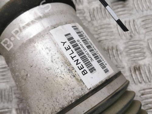 Left rear shock absorber BENTLEY CONTINENTAL FLYING SPUR (3W_) 6.0 | BP28883553M18 