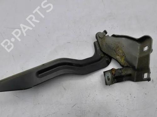 Hinge/Door check strap NISSAN QASHQAI II (J11, J11_) 1.5 dCi | BP28861935C146 