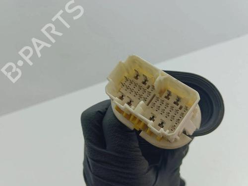 Wiring harness OPEL ANTARA A (L07) 2.2 CDTi | BP28904316E16 