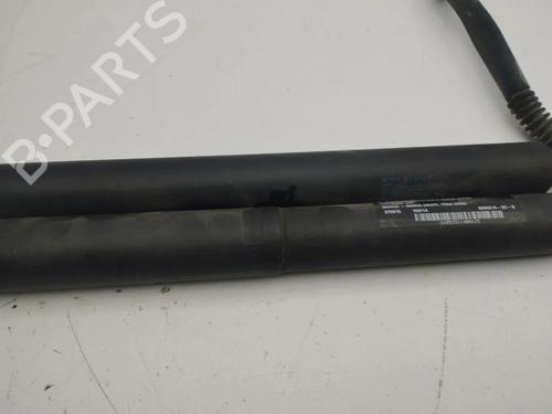 Tailgate lift support TESLA MODEL S (5YJS) 60 | BP33903375C138  - Image 6