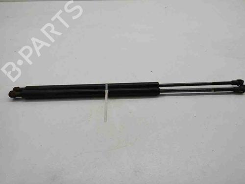 Tailgate lift support BMW X5 (E53) 3.0 d | BP28904496C138 