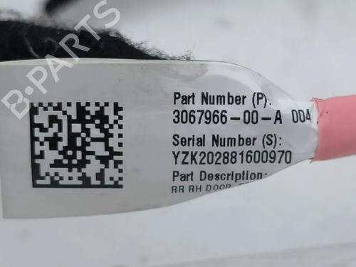 Wiring harness TESLA MODEL 3 (5YJ3) EV | BP36081205E16 - Image 6