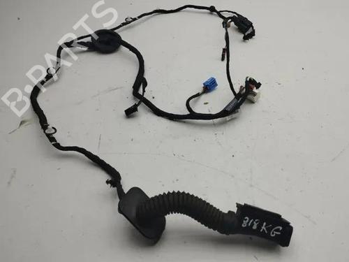 Used Wiring harness AUDI A5 Convertible (F57, F5E) 2.0 TDI (190 hp) 28863430