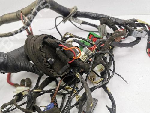 Wiring harness AIXAM CITY 0.4 | BP40209368E16 - Image 7
