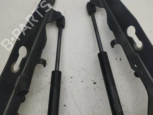 Hinge/Door check strap VOLVO XC60 II (246) D4 | BP28862393C146 