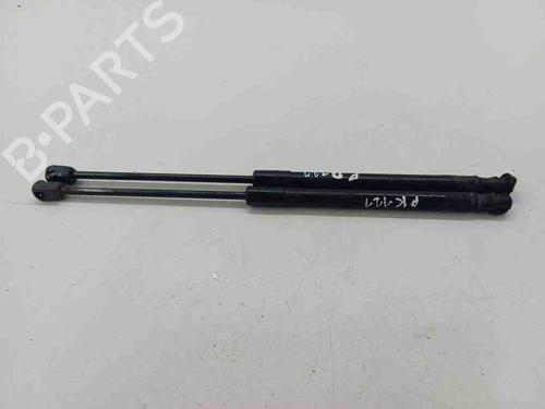 Hood lift support HYUNDAI SANTA FÉ II (CM) 2.2 CRDi 4x4 | BP28885703C139