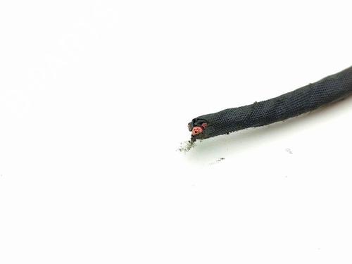 Electronic module MASERATI QUATTROPORTE V 4.2 | BP28906289M83 