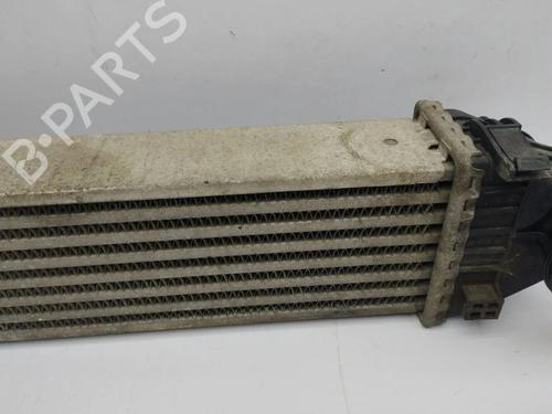 Intercooler MERCEDES-BENZ A-CLASS (W169) A 180 CDI (169.007, 169.307) | BP28902073M30  - Image 10
