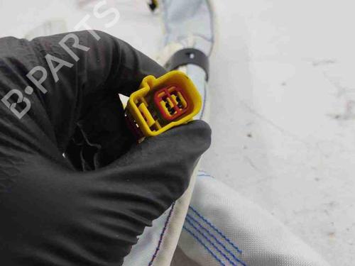 Right curtain airbag FORD KUGA I 2.0 TDCi | BP28902907C12