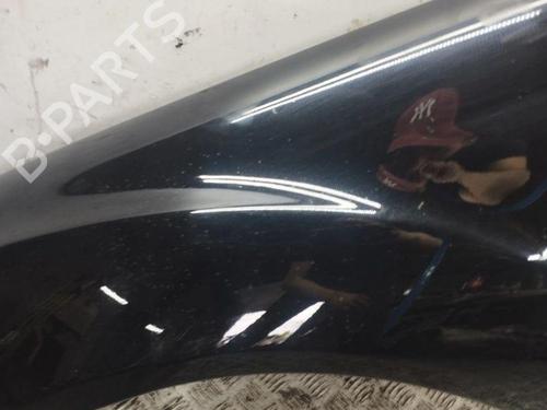 Left front fenders MERCEDES-BENZ S-CLASS (W221, V221) S 320 CDI | BP28895739C41 