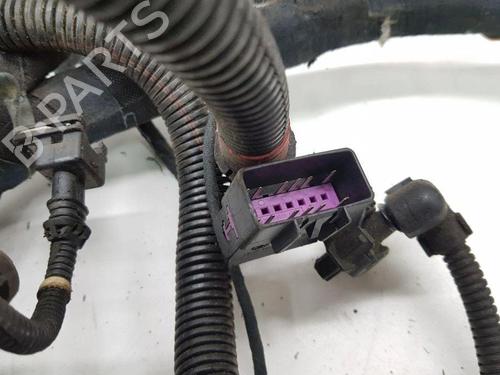 Wiring harness MASERATI QUATTROPORTE V 4.2 | BP28903829E16 