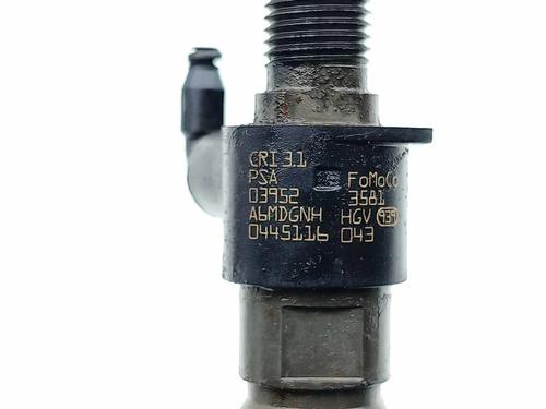 Injector LAND ROVER RANGE ROVER EVOQUE (L538) 2.2 D 4x4 | BP30643696M100