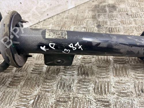 Left front shock absorber TESLA MODEL Y (5YJY) EV Rear-Wheel Drive | BP33896537M16 - Image 6