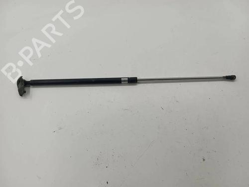 Used Hood lift support LEXUS RX (_U3_) 400h AWD (MHU38_) (211 hp) 32665740