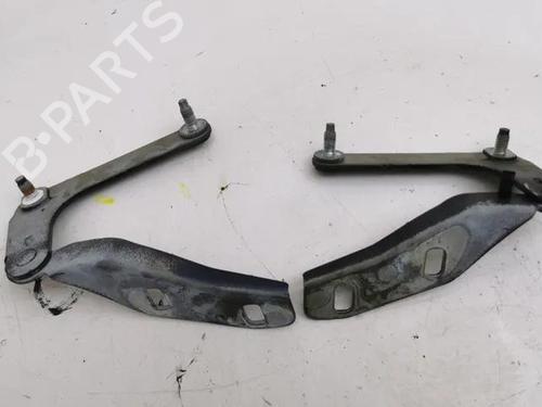 Hinge/Door check strap FORD C-MAX (DM2) 2.0 TDCi | BP28843112C146 