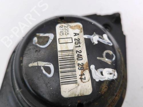 Engine mount MERCEDES-BENZ M-CLASS (W164) ML 320 CDI 4-matic (164.122) | BP28900300M89 