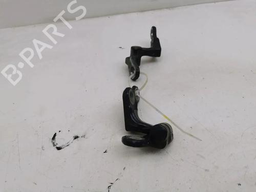 Hinge/Door check strap FORD C-MAX (DM2) 2.0 TDCi | BP36064758C146 - Image 3