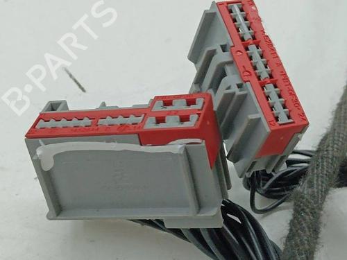 Wiring harness LAND ROVER RANGE ROVER EVOQUE (L538) 2.2 D 4x4 | BP28898655E16