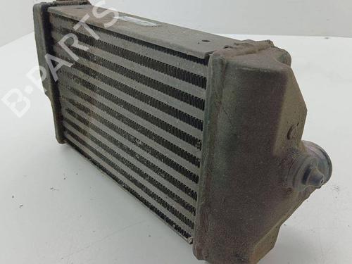 Intercooler CHRYSLER VOYAGER IV (RG, RS) 2.8 CRD | BP28895734M30