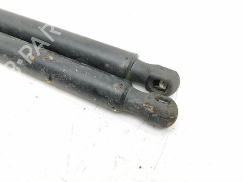 Tailgate lift support FORD KUGA I 2.0 TDCi | BP28888129C138 