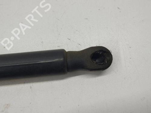 Tailgate lift support VW GOLF VIII (CD1, DA1) 1.0 TSI | BP28898316C138 