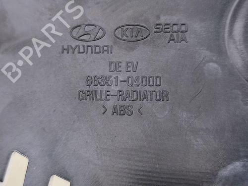 Grille KIA NIRO I (DE) E-NIRO | BP29638670C40 
