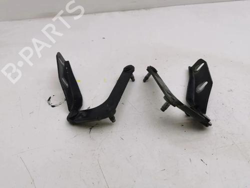 Hinge/Door check strap FORD C-MAX (DM2) 2.0 TDCi | BP36350153C146 - Image 6