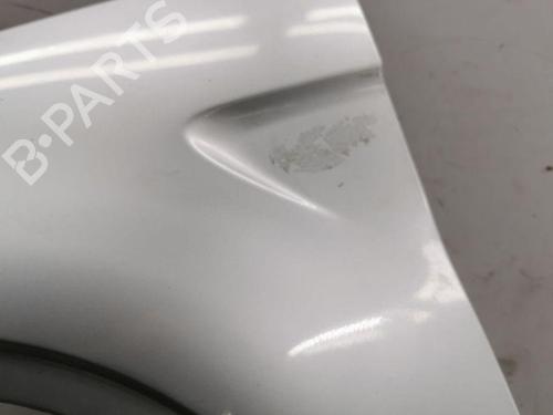 Left front fenders BMW X5 (E53) 3.0 d | BP28887448C41 