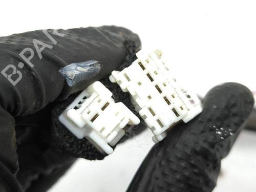 Wiring harness NISSAN X-TRAIL III (T32_, T32R, T32RR) 1.6 dCi ALL MODE 4x4-i (NT32) | BP28877885E16 