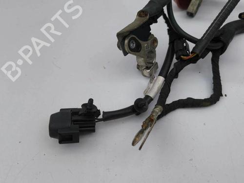 Wiring harness FORD GALAXY III (CK) 2.0 TDCi | BP28901291E16 