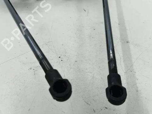 Hinge/Door check strap BENTLEY FLYING SPUR (4W_) 6.0 W12 | BP28859405C146 