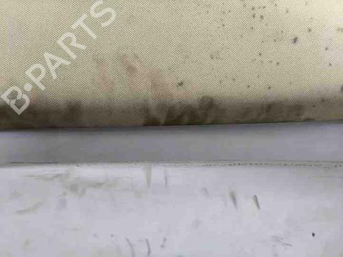 Interior roof TESLA MODEL S (5YJS) 60 | BP28862817I12