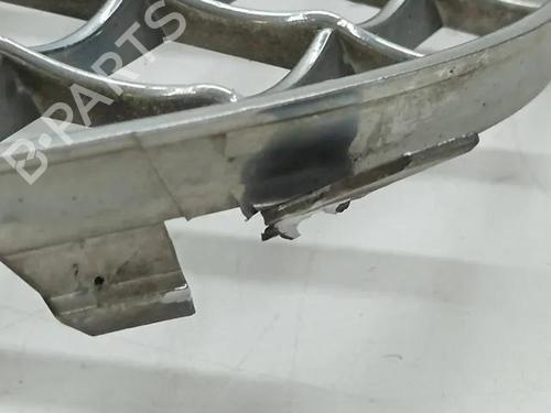 Grille BENTLEY FLYING SPUR (4W_) 6.0 W12 | BP28859305C40 