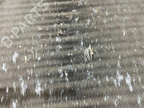 Water radiator MERCEDES-BENZ A-CLASS (W169) A 170 (169.032, 169.332) | BP28895674M31