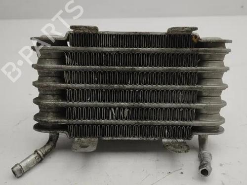 Used Other BMW 5 (E39) 525 d (163 hp) 28861892