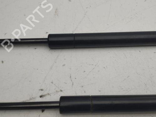 Hood lift support TESLA MODEL S (5YJS) 60 | BP28900766C139 