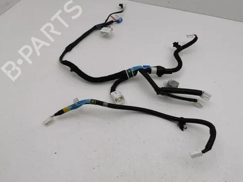 Ledningsnet LEXUS NX (_Z1_) 300h AWD (AYZ15_) | BP28857024E16 