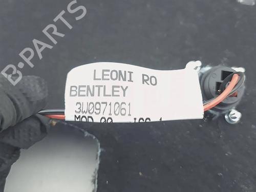 Tailgate trim BENTLEY CONTINENTAL FLYING SPUR (3W_) 6.0 | BP30724108C151 