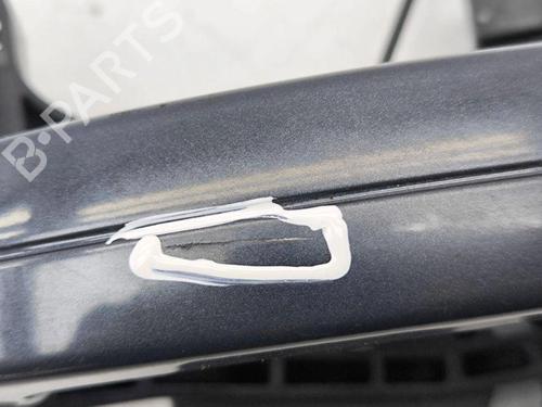 Rear left exterior door handle FORD GRAND C-MAX (DXA/CB7, DXA/CEU) 2.0 TDCi | BP28894401C130 