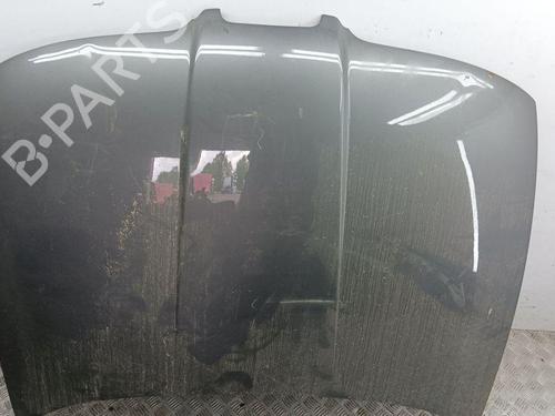 Used Hood SEAT TOLEDO II (1M2) 1.9 TDI (110 hp) 28891428